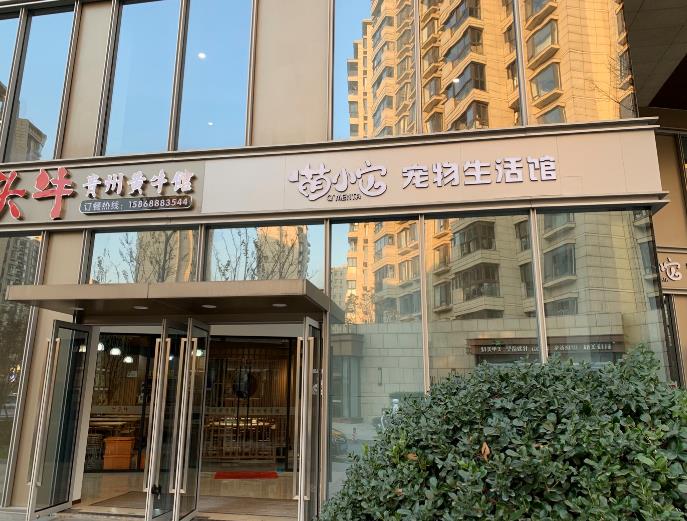 在二三线开一家宠物店需要投入多少钱呢？