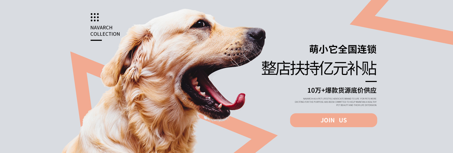 91短视频在线观看免费最新宠物连锁品牌