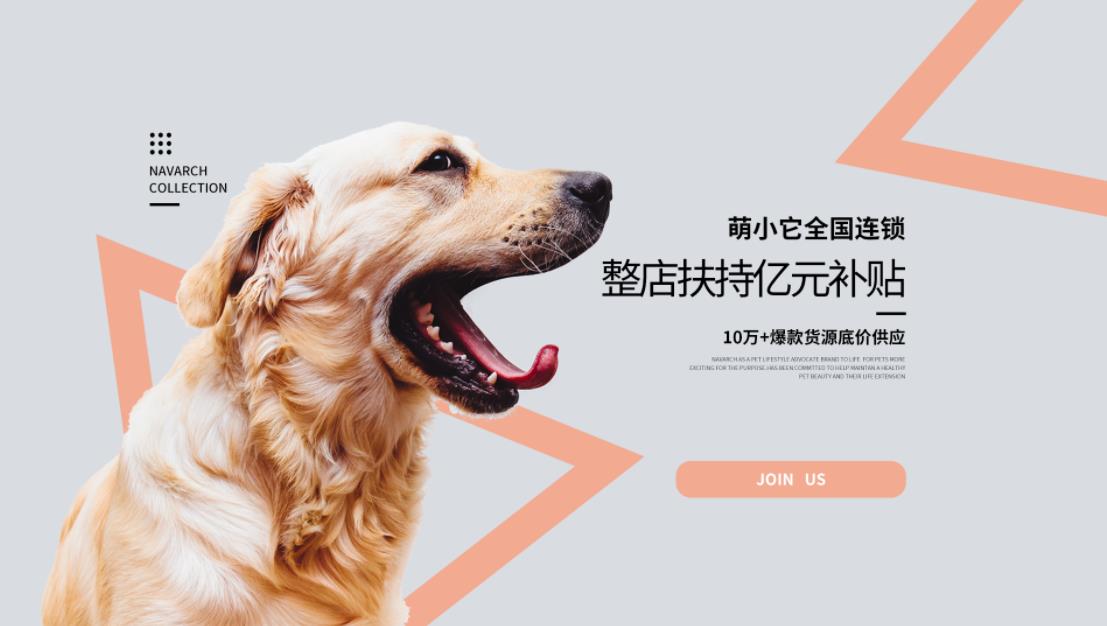 想开宠物店去哪里91短视频下载安装污呢？