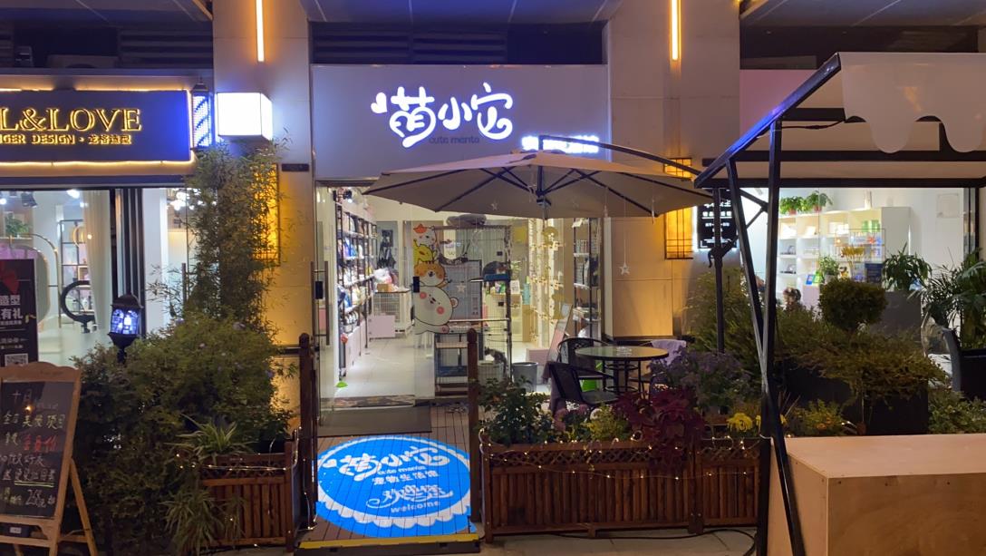 宠物店91短视频APP下载安装费包含哪些服务？