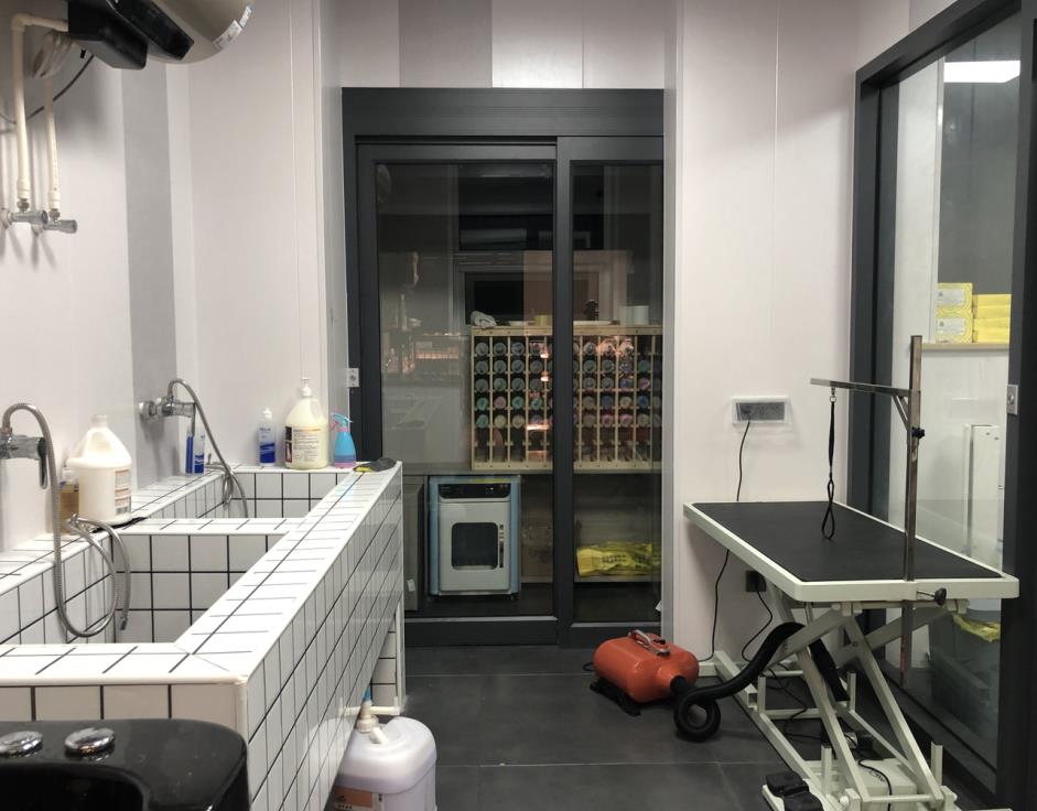 如何选择宠物店91短视频APP下载安装品牌