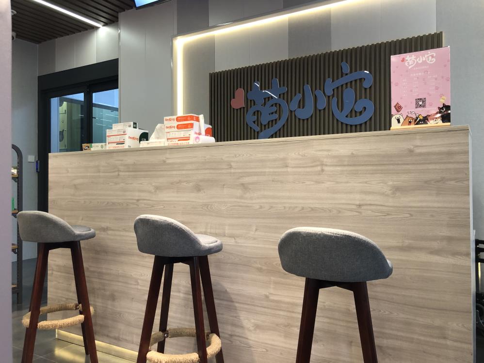 在二三线城市开宠物店每月能赚多少钱？
