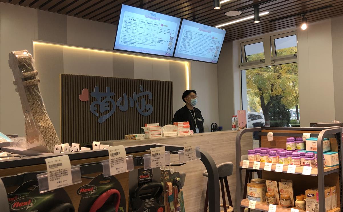 如何经营好一家宠物店