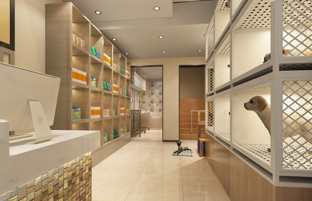 全职妈妈努力创业开宠物店,过上了理想中的小日子
