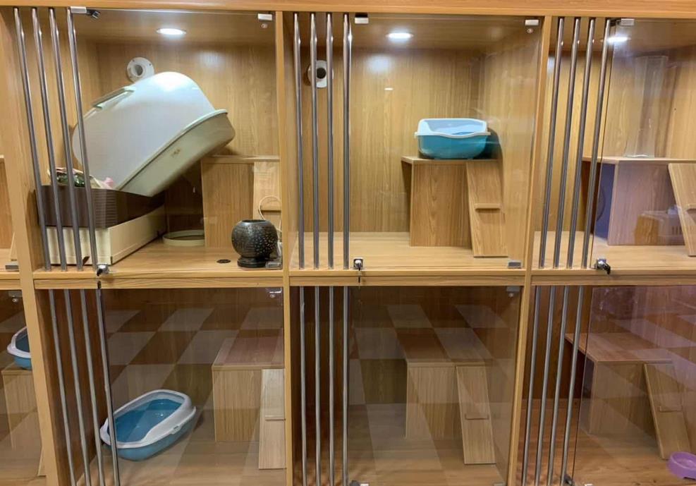 开宠物店费用需要多少？宠物店如果经营的好能赚钱吗？