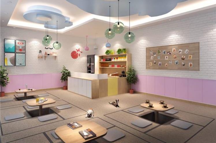 宠物店怎么开才能长久经营起来？有没有什么小窍门？