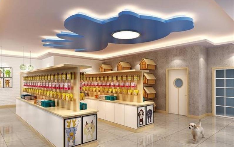 91短视频APP下载安装宠物店适合年轻人创业的好项目