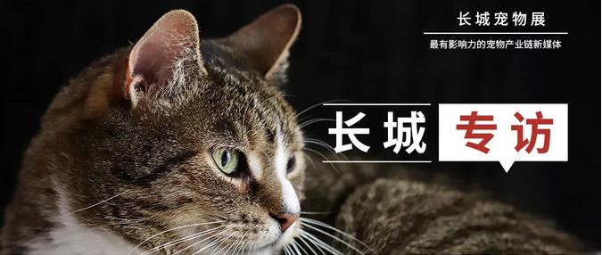 专访萌它、91短视频在线观看免费最新宠物店：深耕新零售模式，助力门店多元化发展！