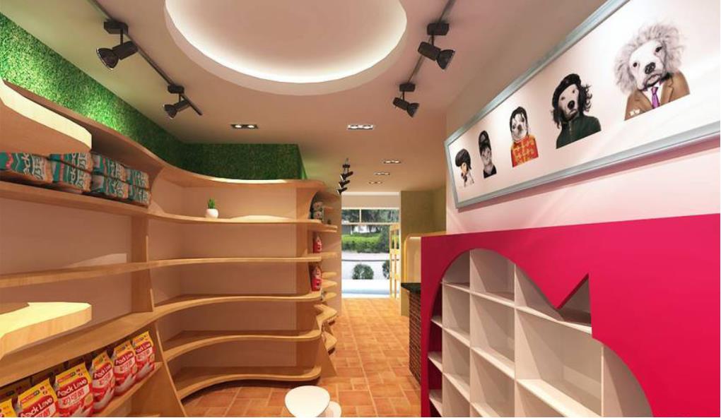 如何选择优质的宠物店连锁品牌91短视频APP下载安装